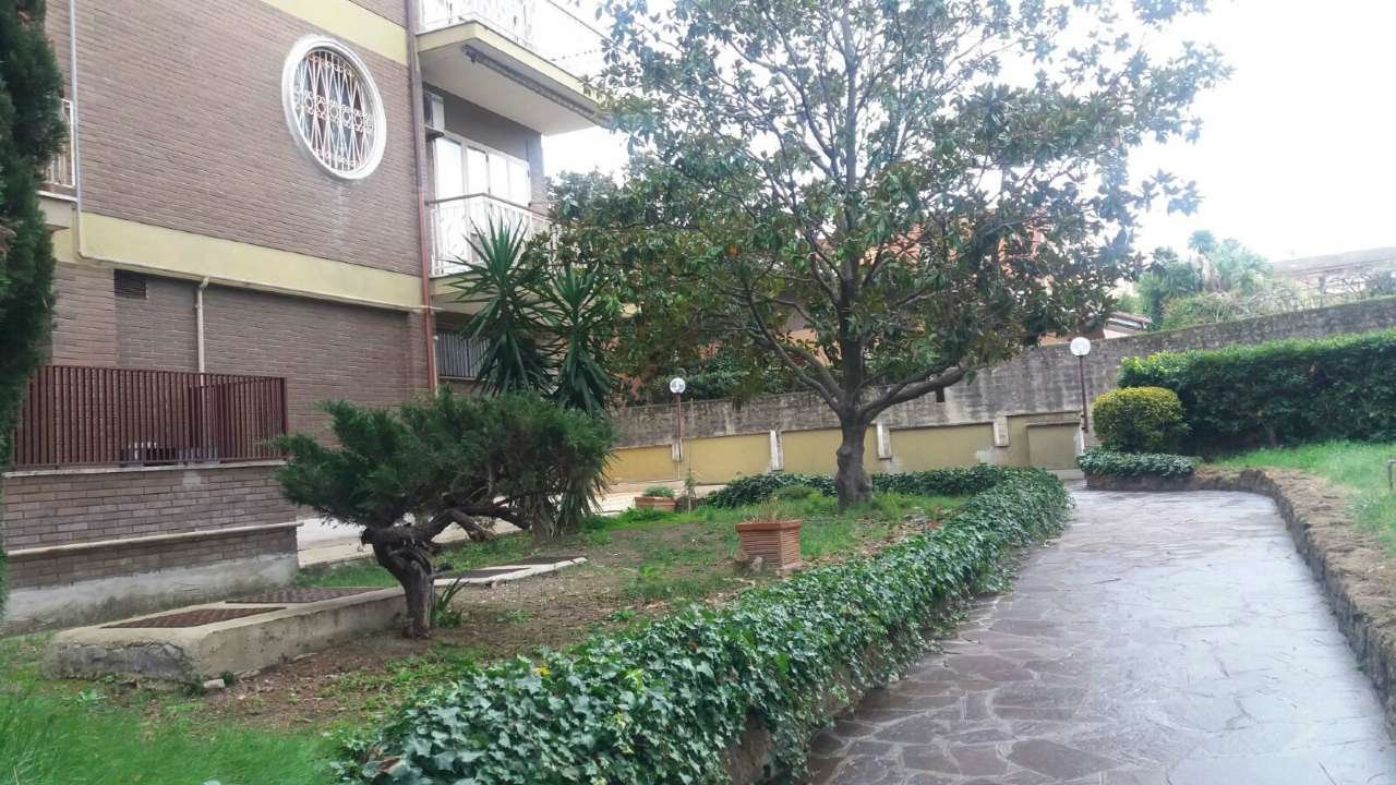 Aurelia – casal lumbroso
